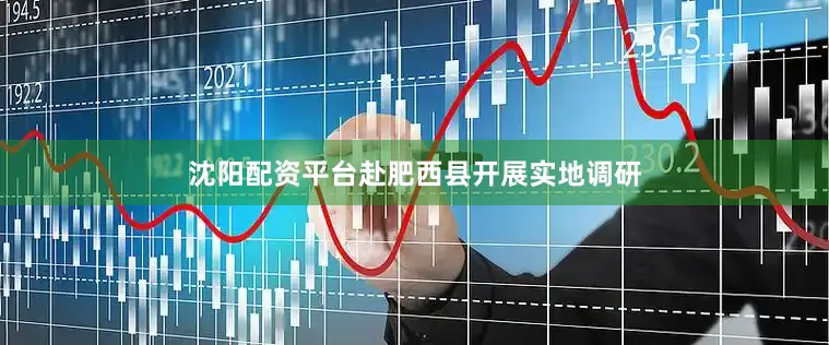 沈阳配资平台赴肥西县开展实地调研