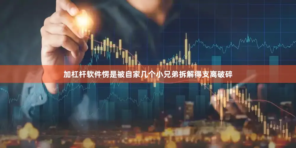 加杠杆软件愣是被自家几个小兄弟拆解得支离破碎